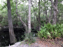Creek Bend by the Bridge - Clint Shivers